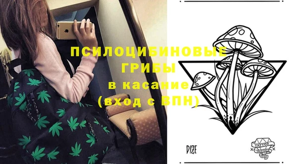 МДПВ Пролетарск