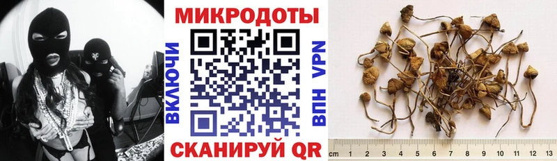 Галлюциногенные грибы Psilocybe Зеленодольск