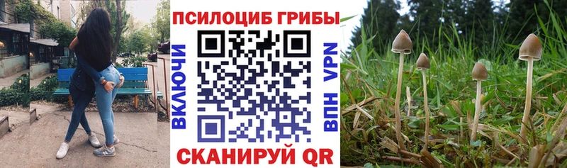 Псилоцибиновые грибы мухоморы  МЕГА ссылки  мориарти какой сайт  где продают   Зеленодольск 